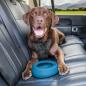 Preview: Kurgo Splash Free Wander Water Bowl Coastal Blue